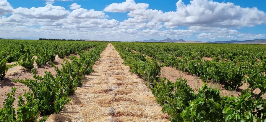 3 Bedroom Property for Sale in Darling Western Cape